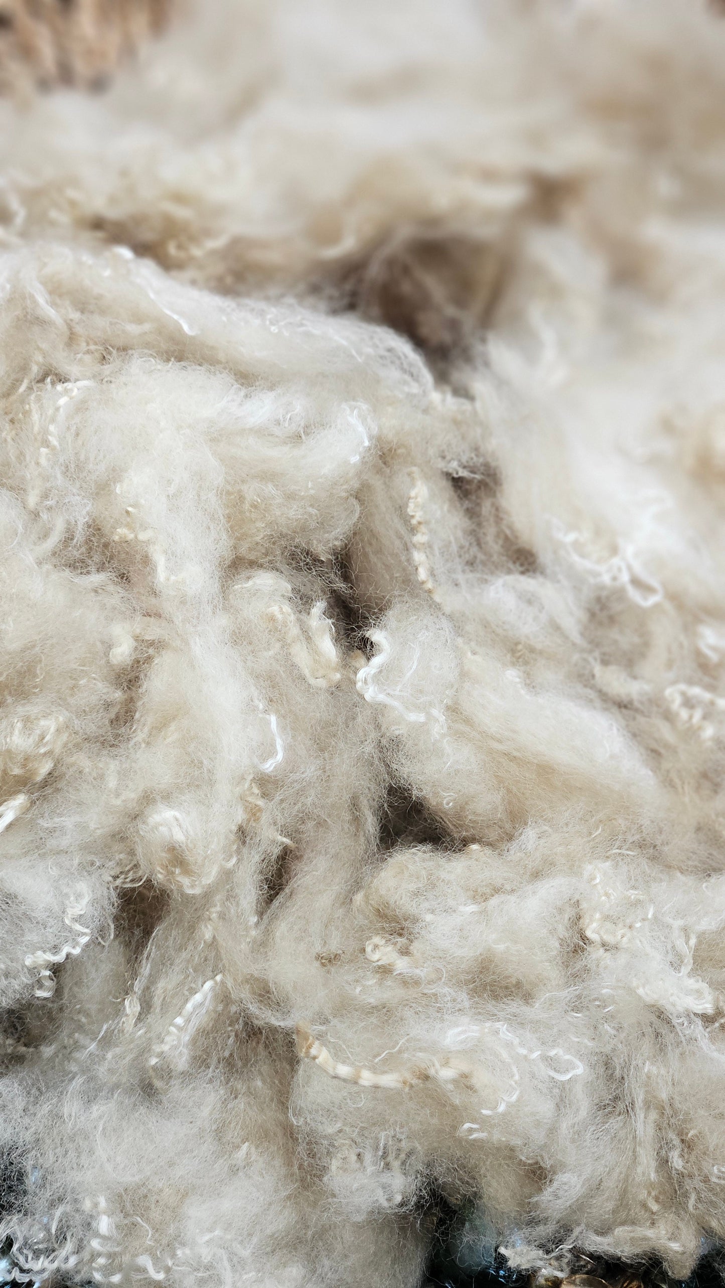 Natural Gold Fiber Cloud - 4 oz