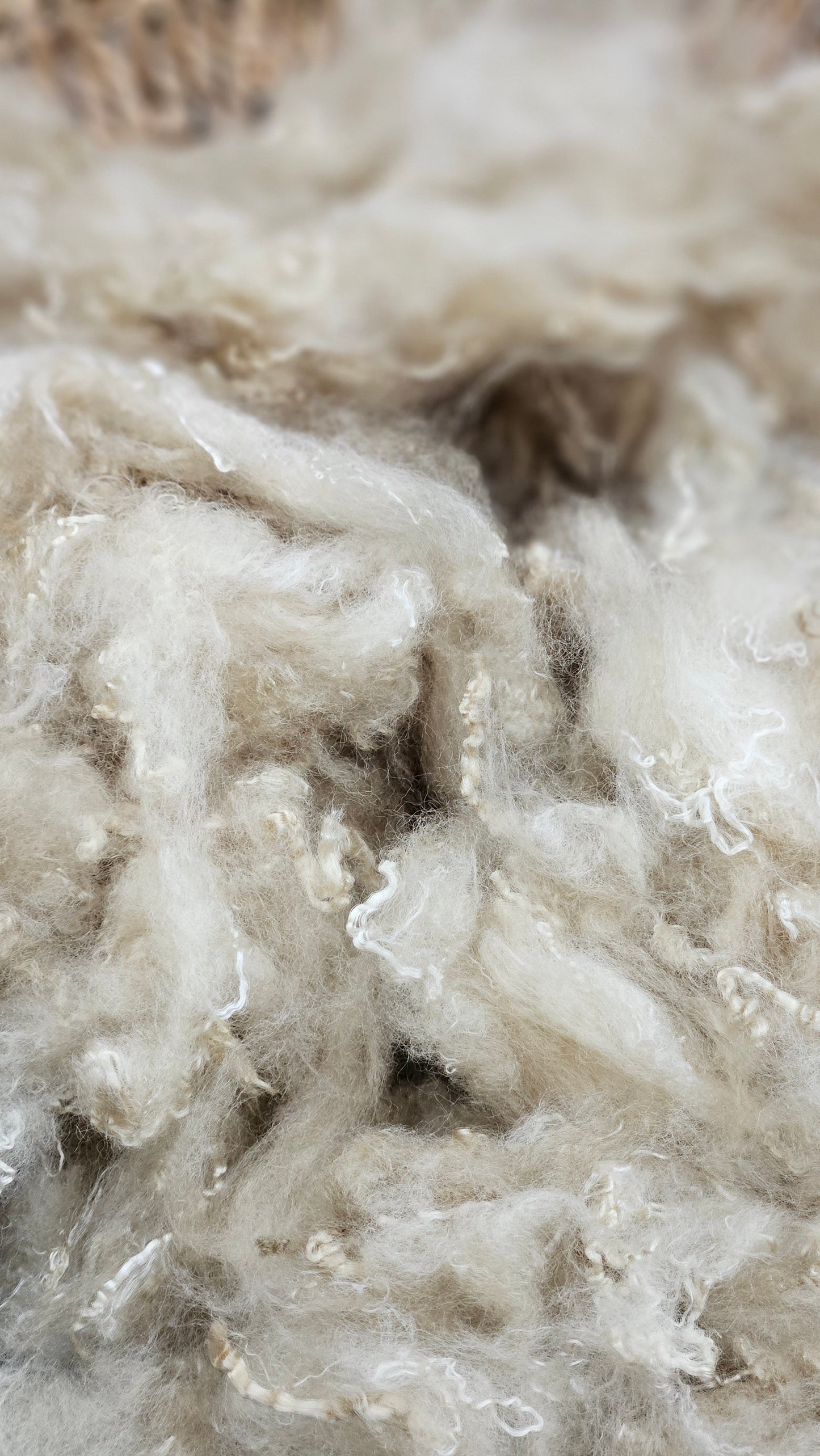 Natural Gold Fiber Cloud - 4 oz