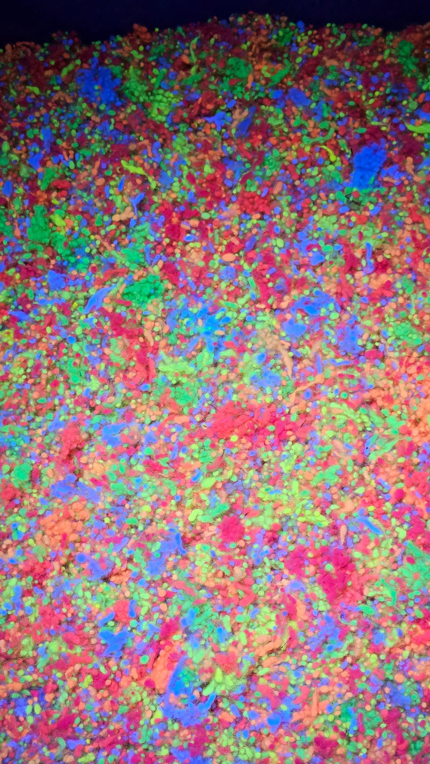 VINTAGE GLOW Dyed Fine Wool Nepps Blend - 1 ounce
