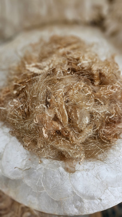 Champagne Gold Sparkle Eucalyptus Crimp Blend - 1 ounce