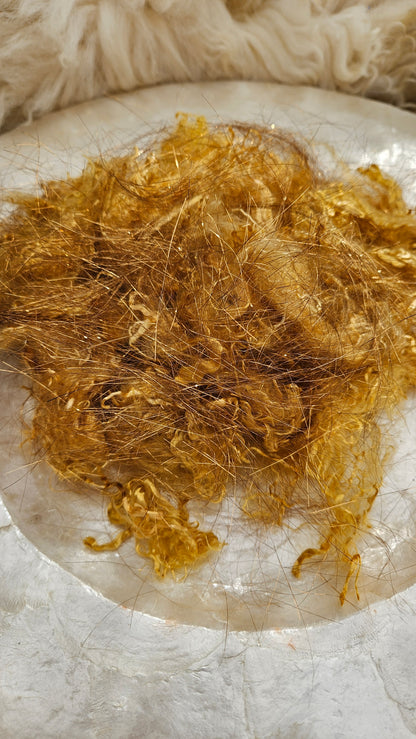 Gold Sparkle Eucalyptus Crimp Blend - 1 ounce