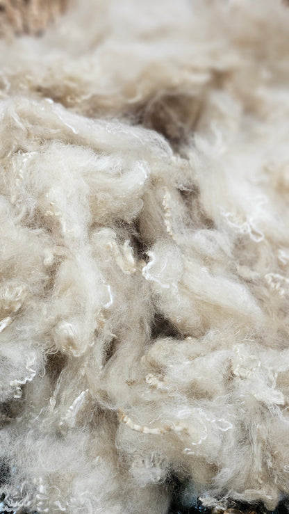 Natural Gold Fiber Cloud - 4 oz